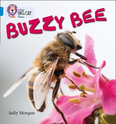 Buzzy Bees: Band 04/Blue Morgan Sally