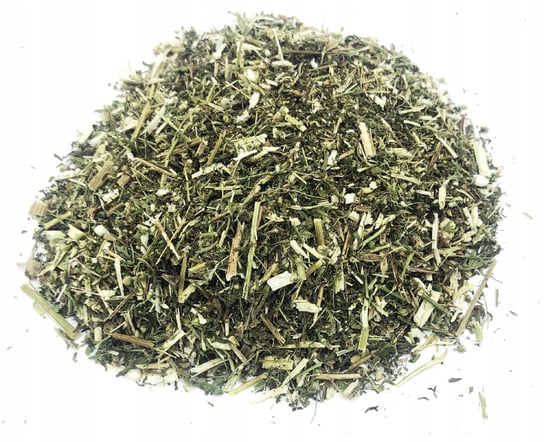 BYLICA ROCZNA ZIELE BYLICY ROCZNEJ 50 G 100% NATURALNY.SKLEP.PL