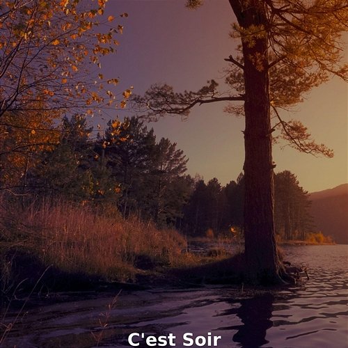 C'Est Soir B Vini & Jeffrey Osbourne