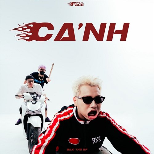 Cá Cảnh Bilo