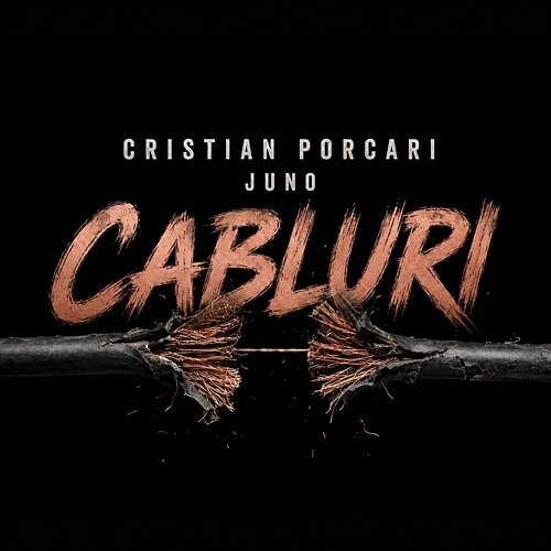 Cabluri Juno, Cristian Porcari