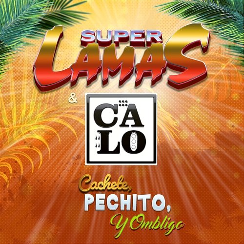 Cachete, Pechito Y Ombligo Super Lamas, Calo