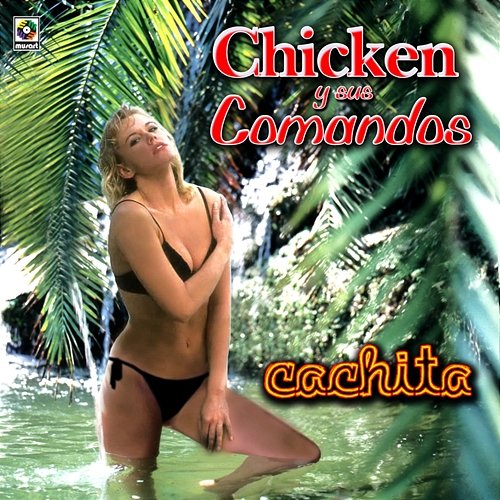 Cachita Chicken Y Sus Comandos
