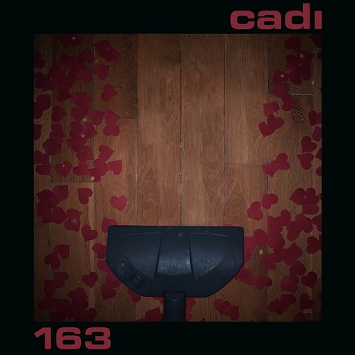 Cadı 163