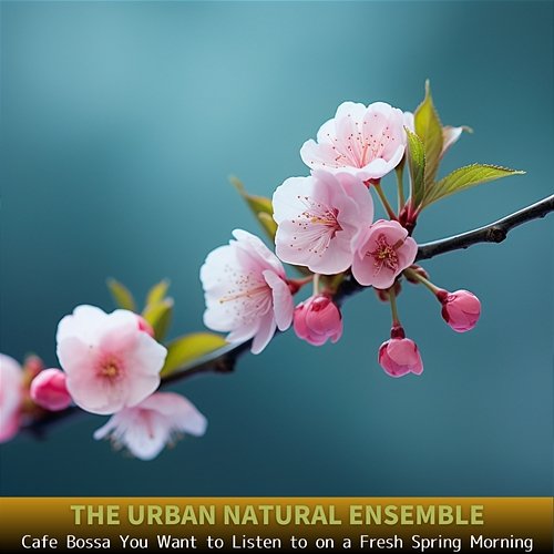 Cafe Bossa You Want to Listen to on a Fresh Spring Morning The Urban Natural Ensemble