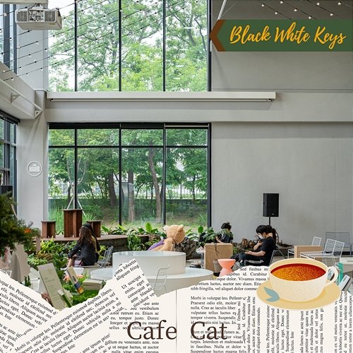 Cafe Cat Black White Keys