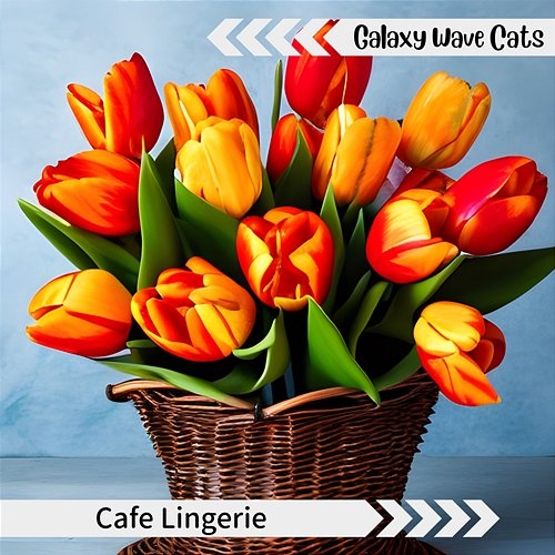 Cafe Lingerie Galaxy Wave Cats