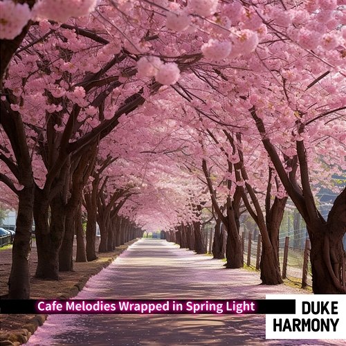 Cafe Melodies Wrapped in Spring Light Duke Harmony