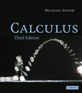 Calculus Spivak Michael