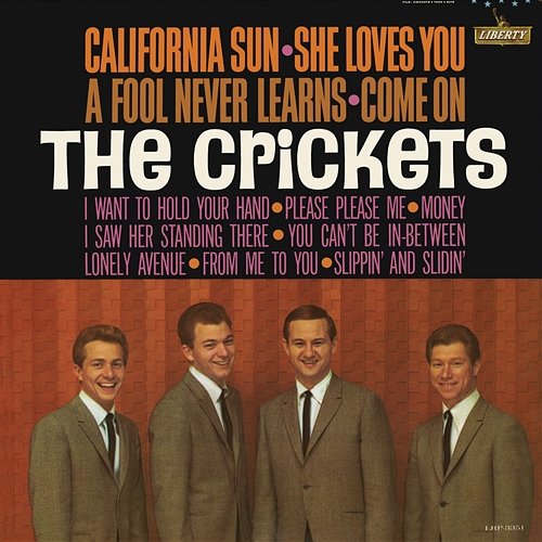 California Sun - She Loves You The Crickets