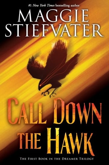 Call Down the Hawk (The Dreamer Trilogy, Book 1) Stiefvater Maggie