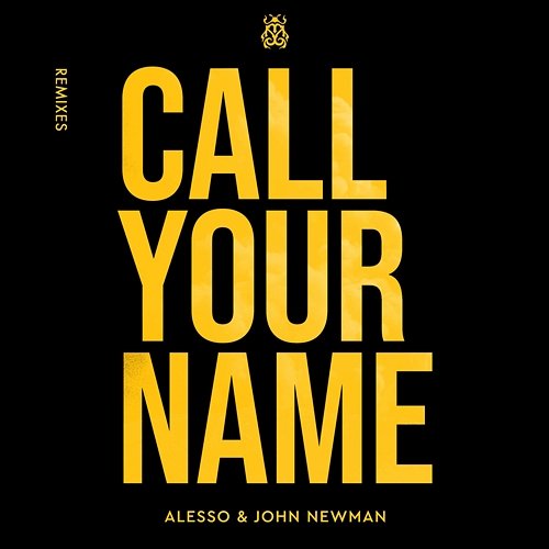 Call Your Name John Newman, Alesso