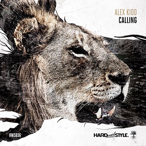 Calling Alex Kidd