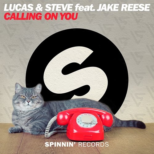 Calling On You Lucas & Steve feat. Jake Reese
