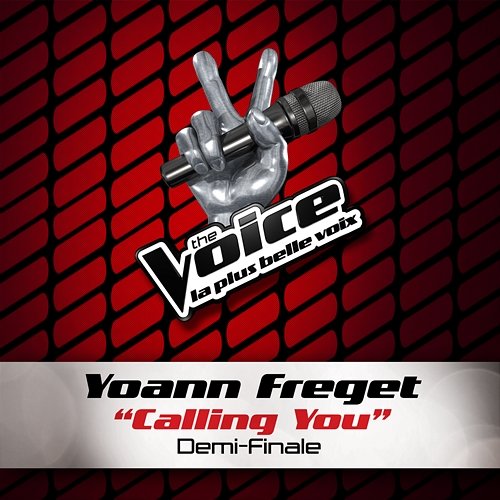 Calling You - The Voice 2 Yoann Freget