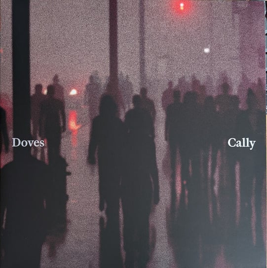 Cally / Lean Into the Wind, płyta winylowa Doves