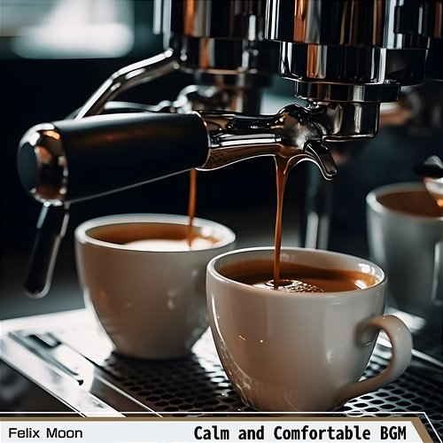 Calm and Comfortable Bgm Felix Moon