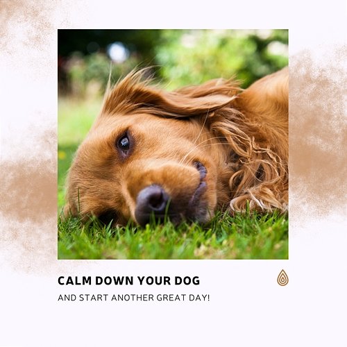 Calm Down Your Dog and Start Another Great Day! Various Artists