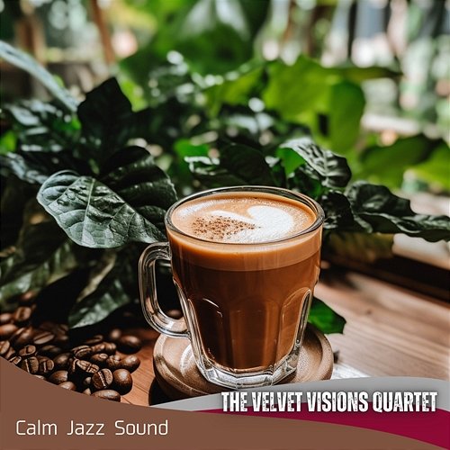 Calm Jazz Sound The Velvet Visions Quartet