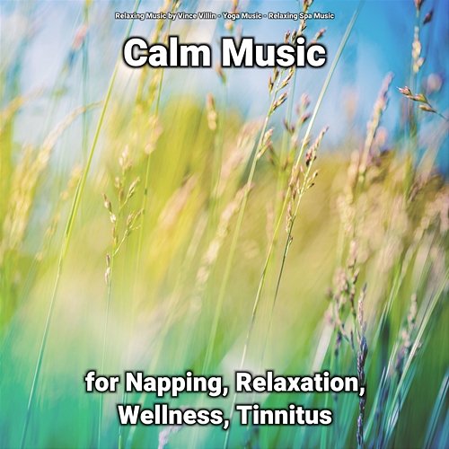 Calm Music for Napping, Relaxation, Wellness, Tinnitus Yoga Music, Relaxing Spa Music, Relaxing Music by Vince Villin