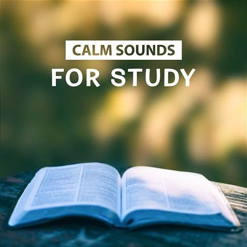 Calm Sounds for Study – Anti Stress Music, Increase Creativity, Better Concentration and Mental Inspiration, Rest and Relax Brain Study Music Guys