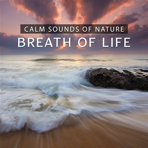 Calm Sounds of Nature - Breath of Life, Relax, Positive Energy and Free Mind Liquid Relaxation Oasis