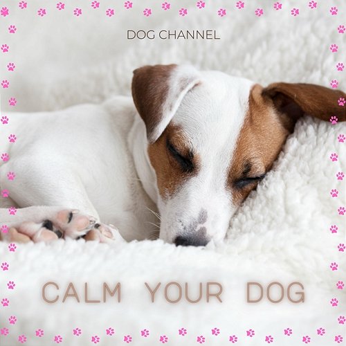 Calm Your Dog Dog Channel