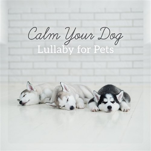 Calm Your Dog: Lullaby for Pets - Anti Anxiety, Inner Peace, Deep Relaxation Soothing Music Pet Music Academy