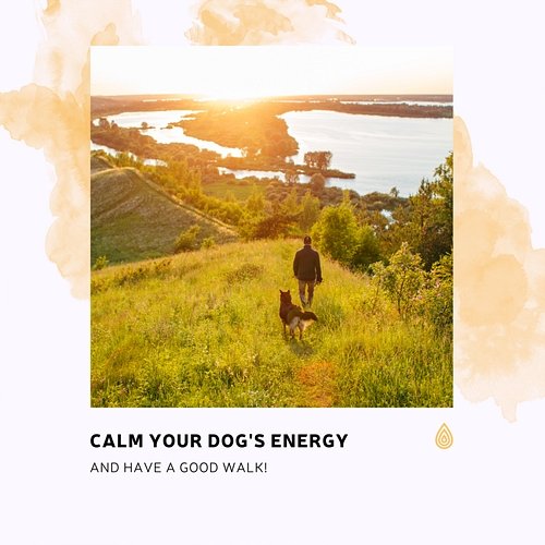 Calm Your Dog's Energy and Have a Good Walk! Various Artists