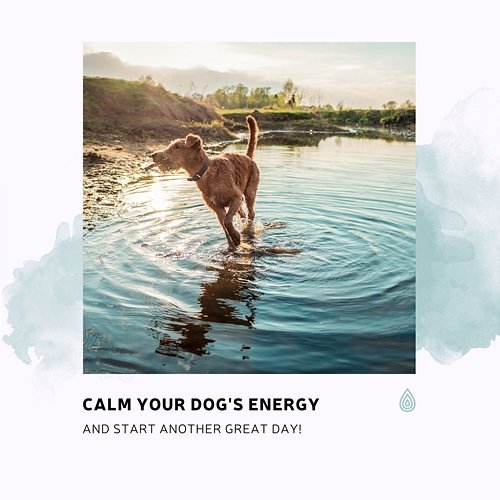 Calm Your Dog's Energy and Start Another Great Day! Various Artists