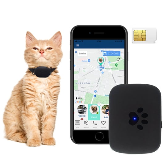 CALMEAN Pet Tracker MAXI + obroża S/M + karta SIM CALMEAN