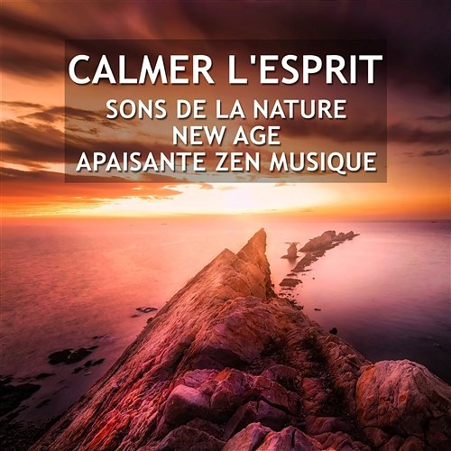 Calmer l'esprit: Sons de la nature, New Age, Apaisante zen musique (Méditation shiné - Atteindre des états de sérénité) Musique Thérapeutique Naturelles