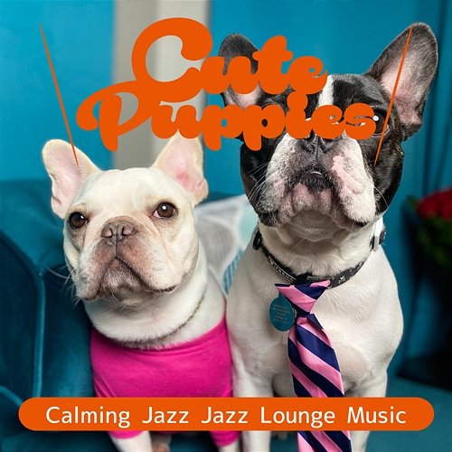 Calming Jazz Jazz Lounge Music Cute Puppies