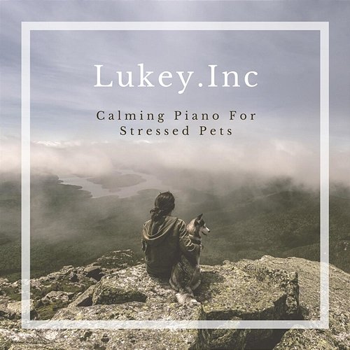 Calming Piano For Stressed Pets Lukey.Inc
