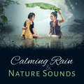 Calming Rain & Nature Sounds: Healing Rain, Wellbeing Music, Relaxing New Age, Sleep, Meditation & Mindfulness Healing Rain Sound Academy