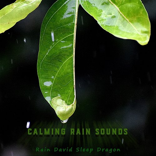 Calming Rain Sounds Rain David Sleep Dragon