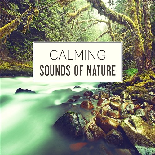 Calming Sounds of Nature: 50 Relaxing Songs for Relaxation, Deep Sleep and Mother Nature Various Artists