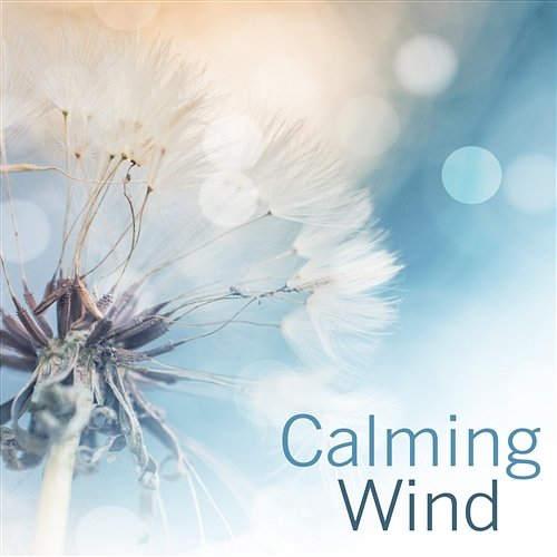 Calming Wind: 30 Relaxing Sounds for Positive Energy, Self Hepnosis Therapy, Gentle Sounds of Wind Chimes for Deep Sleep, Meditation & Yoga Mothers Nature Music Academy