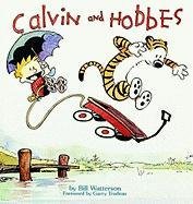 Calvin and Hobbes Watterson Bill