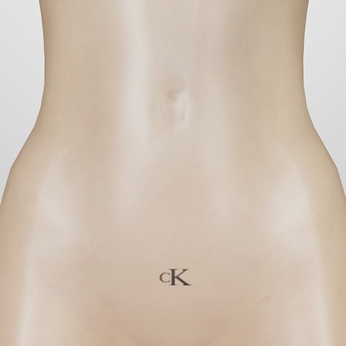 CALVIN KLEIN Lajfr & yanntray