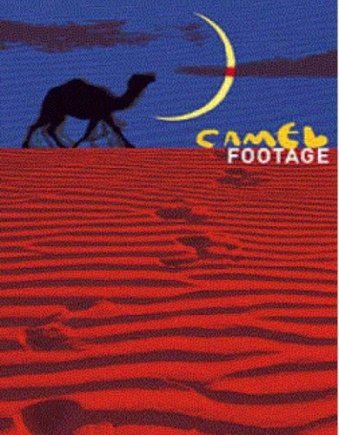 Camel Footage Camel