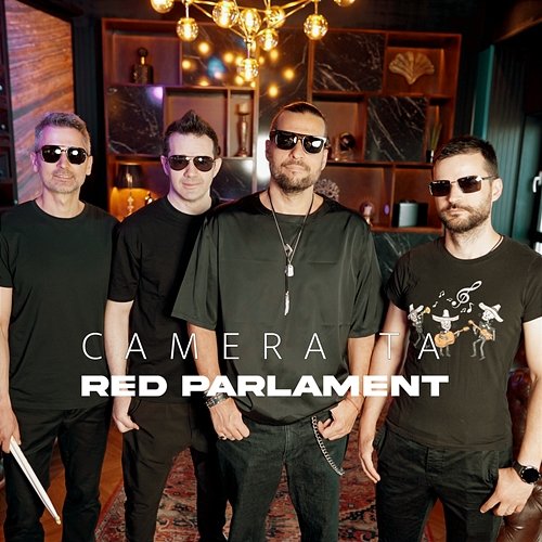 Camera ta Red Parlament