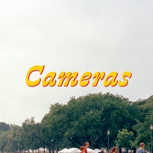 Cameras Big Bill