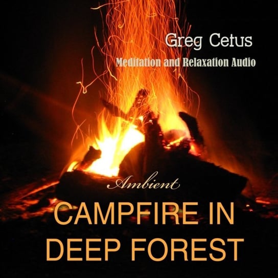 Campfire In Deep Forest Cetus Greg