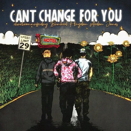 Can't Change For You Bankrol Hayden feat. charlieonnafriday, Arden Jones