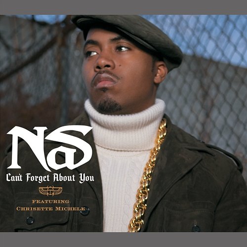Can't Forget About You Nas
