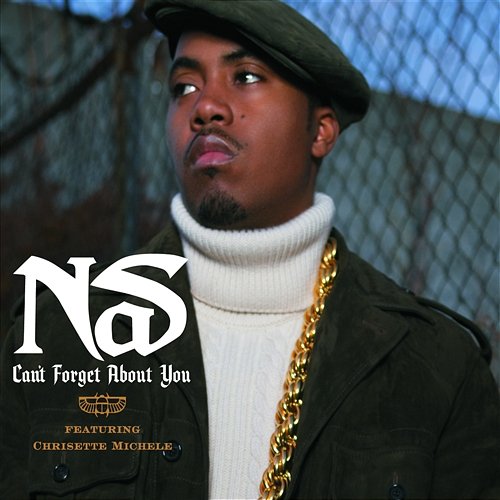 Can't Forget About You Nas
