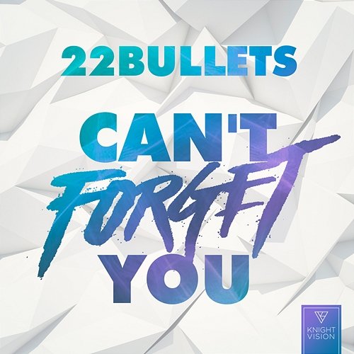 Can't Forget You 22 Bullets