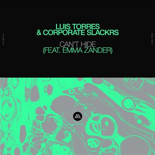 Can't Hide Luis Torres & Corporate Slackrs feat. Emma Zander