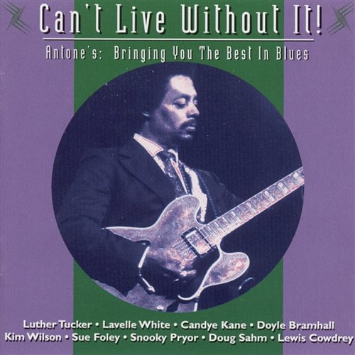 Can't Live Without It Various Artists